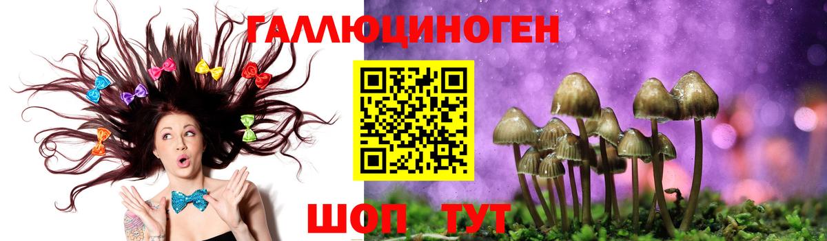 Псилоцибиновые грибы мицелий Нарткала